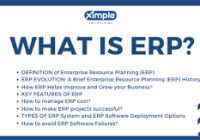 Explanation Of ERP Business Software